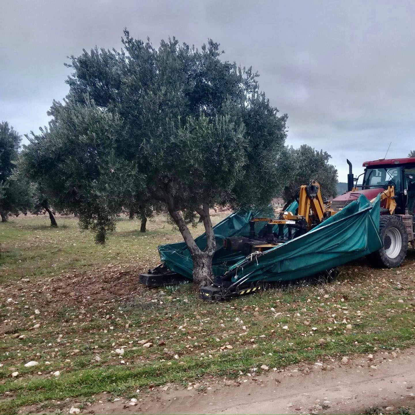 Foto cedida por Ayuntamiento de Arganda