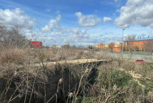 El Ayuntamiento dicta un Decreto de Alcaldía para garantizar la limpieza y conservación de las fincas y solares de Arganda