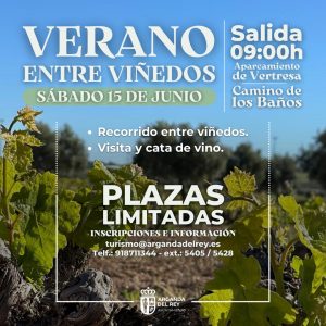 Verano entre viñedos
