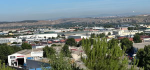 Arganda reúne este miércoles a los mayores productores de ajo de todo el mundo
