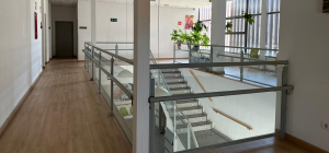 https://www.comunidad.madrid/centros/centro-dia-antonio-mingote