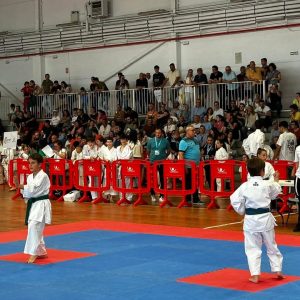 300 karatekas