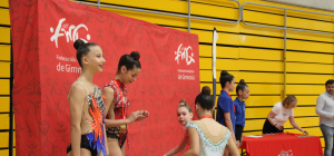 Arganda y la Comunidad de Madrid acogen por primera vez la Liga Iberdrola de gimnasia rítmica