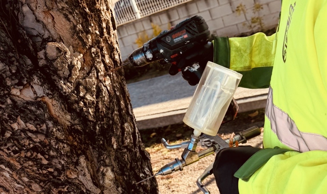 Actuamos contra la oruga procesionaria: tratamos 2.200 árboles en 62 ubicaciones de Arganda del Rey