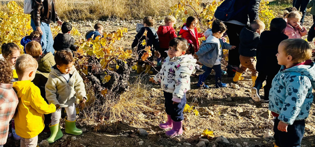 Más de 300 escolares de Arganda participarán en la segunda temporada de visitas a los viñedos y olivares