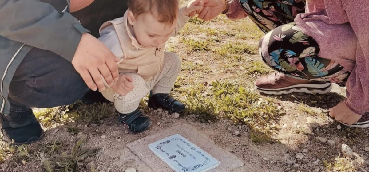 Abrimos las inscripciones para ‘Un nacimiento, un árbol’ a los nacidos en 2025 en Arganda